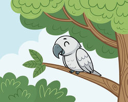 sleeping parrot on tree branch