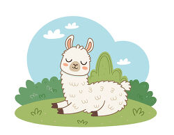 Sleeping white llama on grass