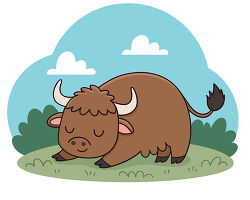 sleeping yak on grass