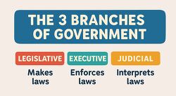 three branches of government infographic illustration