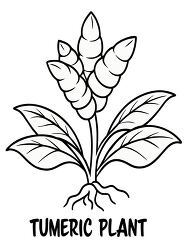 Turmeric Plant Black Outline for Printing and Coloring