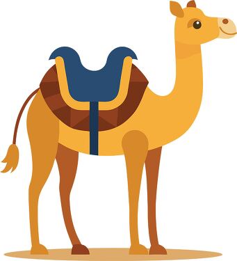 Unique One Hump Camel With Decorative Bridle Design