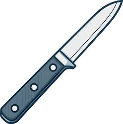 vector image of sharp knife with dark handle