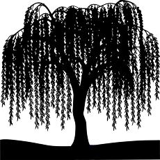 willow tree silhouette