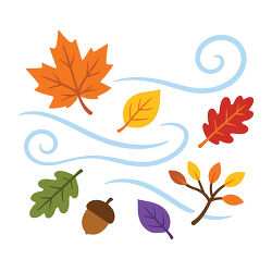 Wind Blown Fall Leaves
