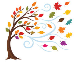windy fall tree with blowing leaves