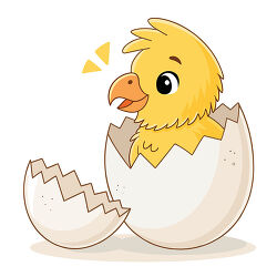 Yellow Chick Hatching From Egg