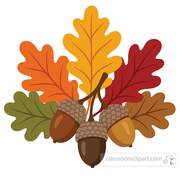 Three brown acorns rest in front of colorful oak leaves in orange yellow red green and brown fall colors
