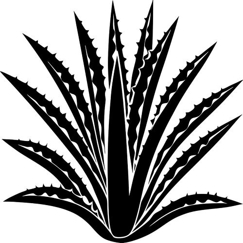 Stylized silhouette of an agave plant showcasing sharp leaves