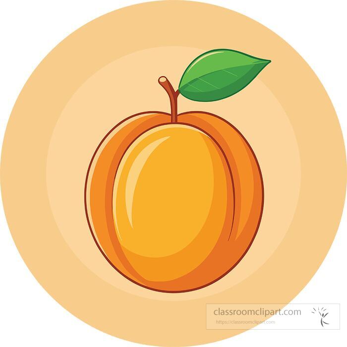 Apricot fruit flat vector illustration on circular background