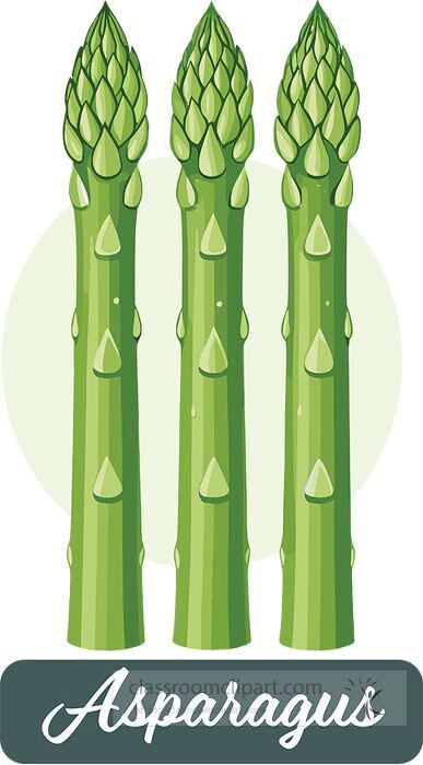 Flat vector illustration of fresh green asparagus stalks, perfect for food, vegetable, and healthy eating designs