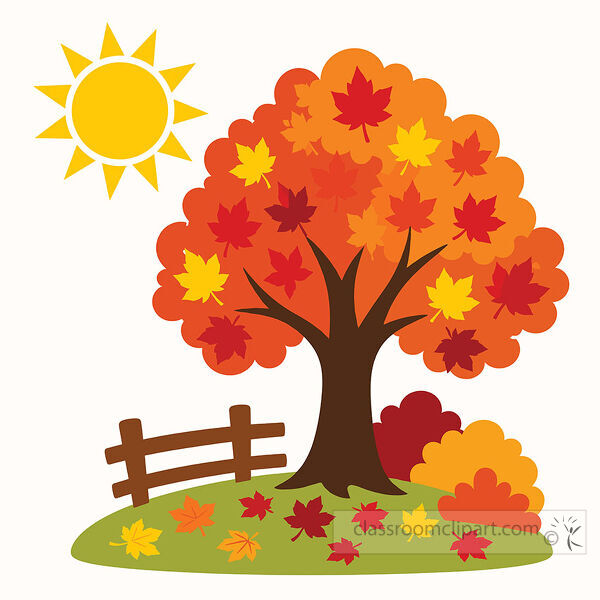 An orange autumn tree with red and yellow leaves stands beside a wooden fence under a bright sun