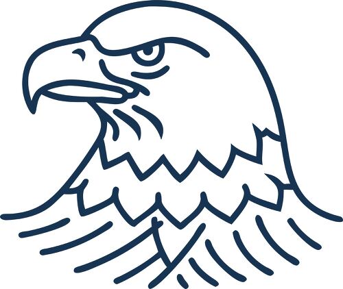 bald eagle simple line icon