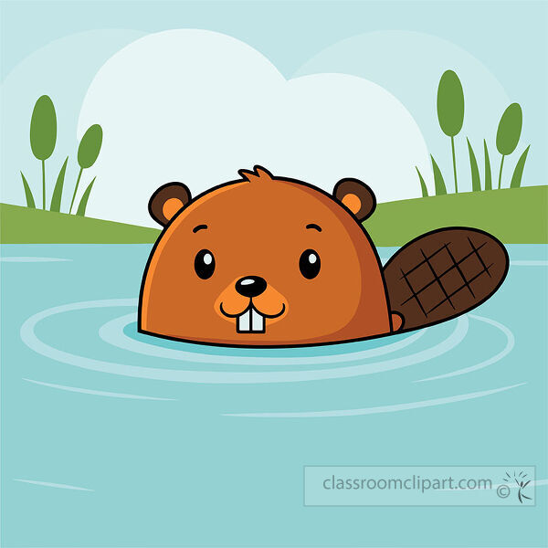 Beaver clipart showing a brown beaver swimming in blue pond water with cattails and grassy banks