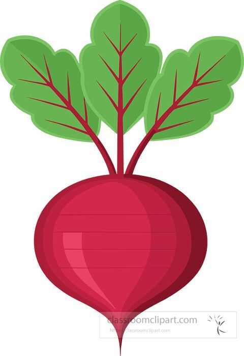 cartoon vector of a red beet with leafy greens ideal for vegetable education school nutrition lessons and healthy food graphics