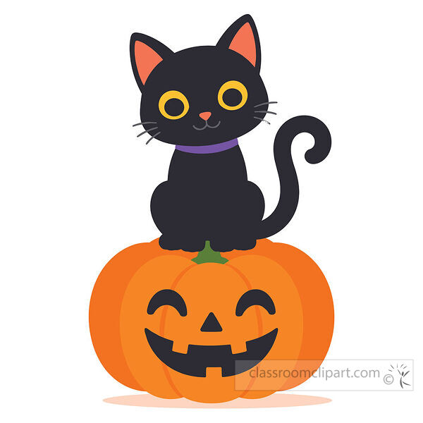 Black cat with yellow eyes sitting on a smiling orange jack o lantern pumpkin with a curled tail