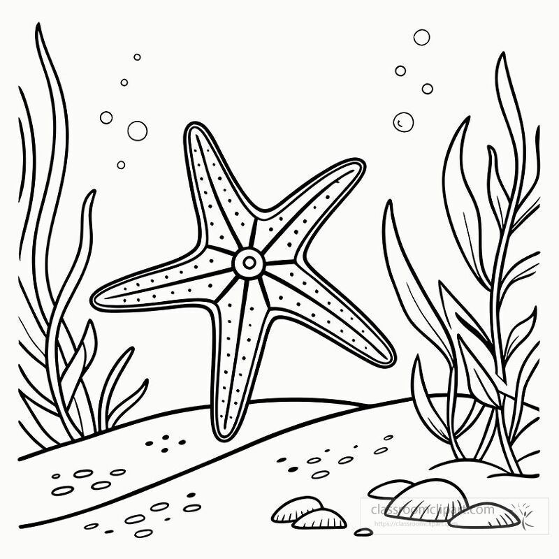 This artwork features a black and white line drawing of a starfish placed in an underwater environment with seaweed and bubbles surrounding it showcasing marine life