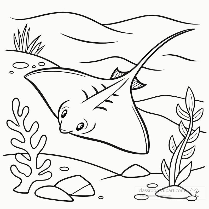 This line drawing features a stingray gracefully gliding through the water surrounded by aquatic plants and rocks illustrating marine life in its natural habitat