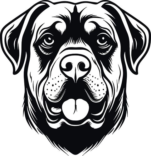 Precise outline of a Rottweiler dogs face