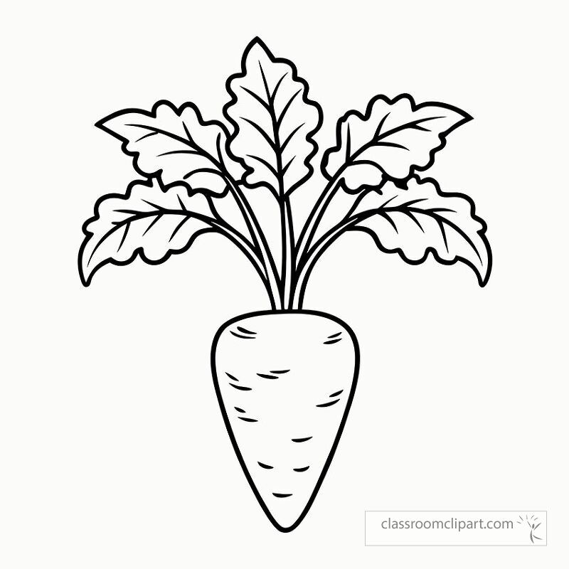 This black outline features a carrot plant with distinct leaves perfect for coloring or educational purposes. Ideal for creative projects or teaching about plant identity.