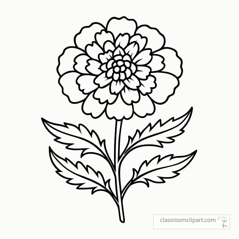 This black outline features a detailed marigold flower with leaves perfect for coloring activities. Ideal for art projects or crafts at home or school.