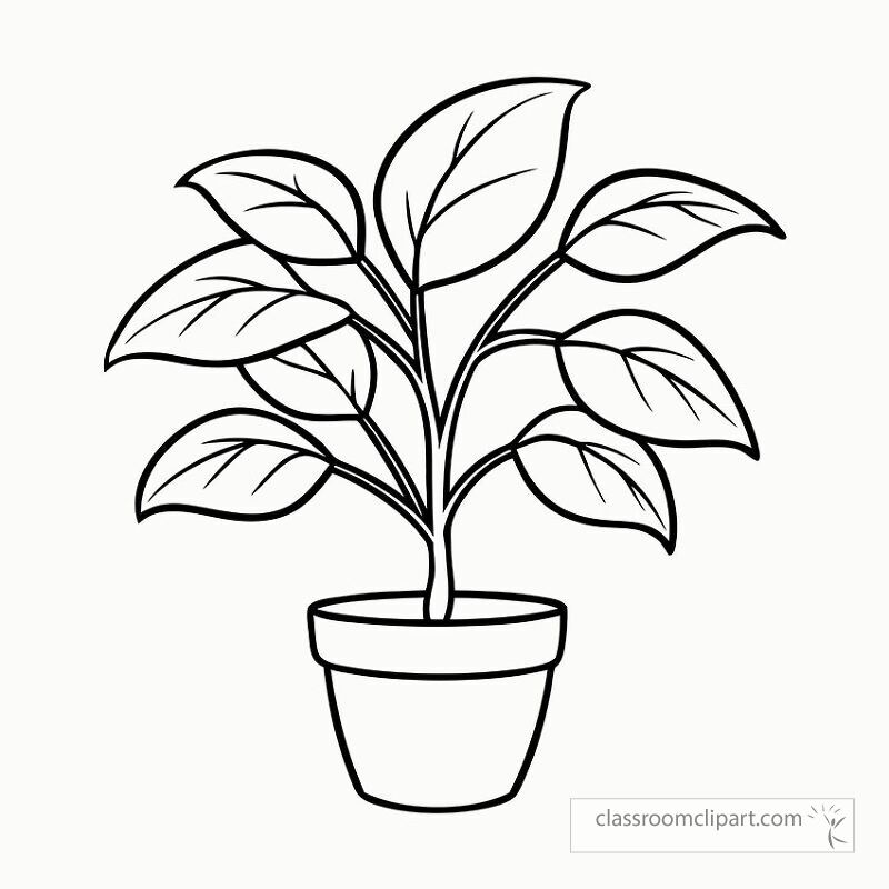 This design features a detailed black outline of a rubber plant in a pot perfect for coloring activities. Ideal for art projects and botanical enthusiasts of all ages.