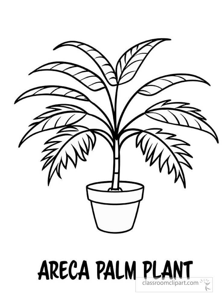 Featuring a detailed black outline of an Areca palm in a pot this design is perfect for coloring or artistic projects capturing the graceful shape of its fronds with text