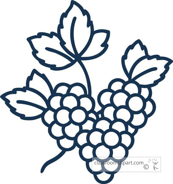 Line icon of a blackberry plant with berries and leaves