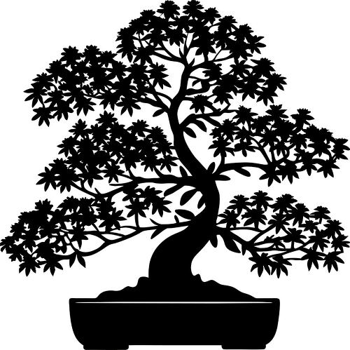 Bonsai tree silhouette with intricate branches on display