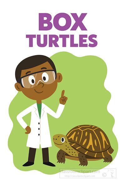Cute educational clipart of a cartoon scientist standing next to a box turtle perfect for biology and science learning materials.