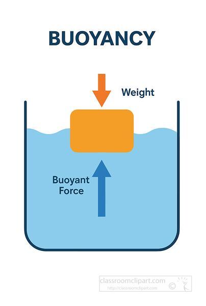 educational diagram showing buoyancy with upward buoyant force and downward weight arrows for science learning