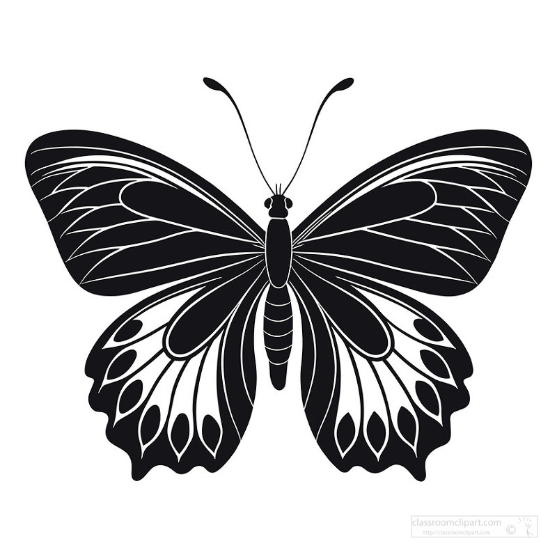 Elegant black and white butterfly silhouette with detailed wing structure design