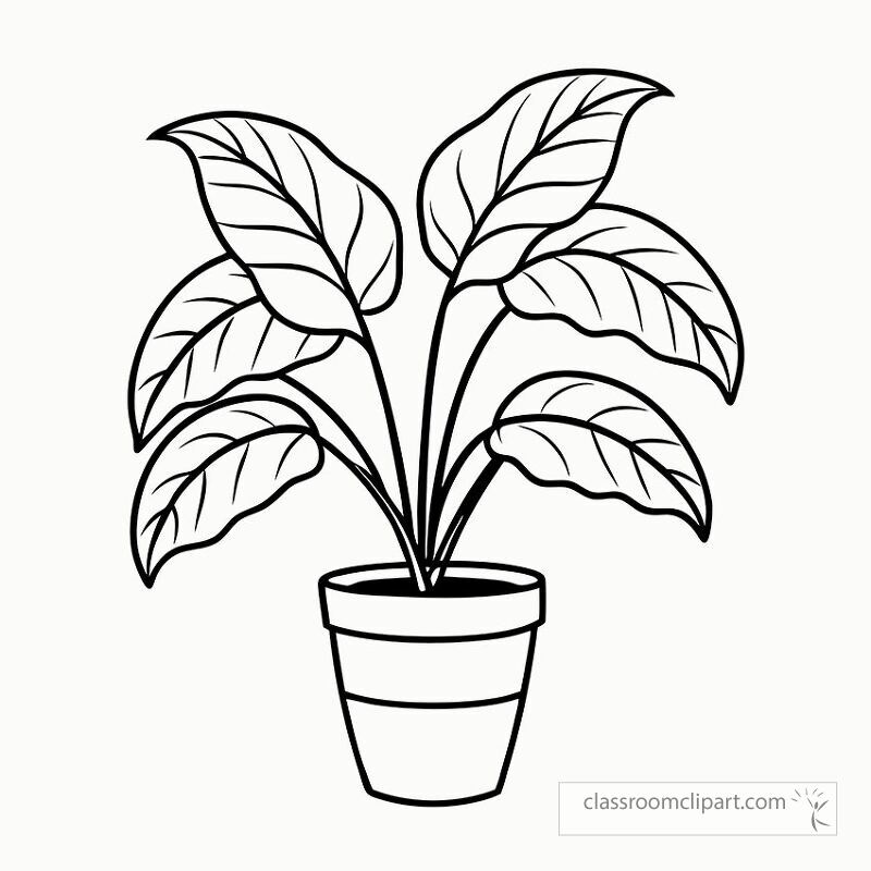 This illustration features a calathea plant with decorative leaves in a pot. The black outline is ideal for coloring or printing perfect for plant lovers or art projects.