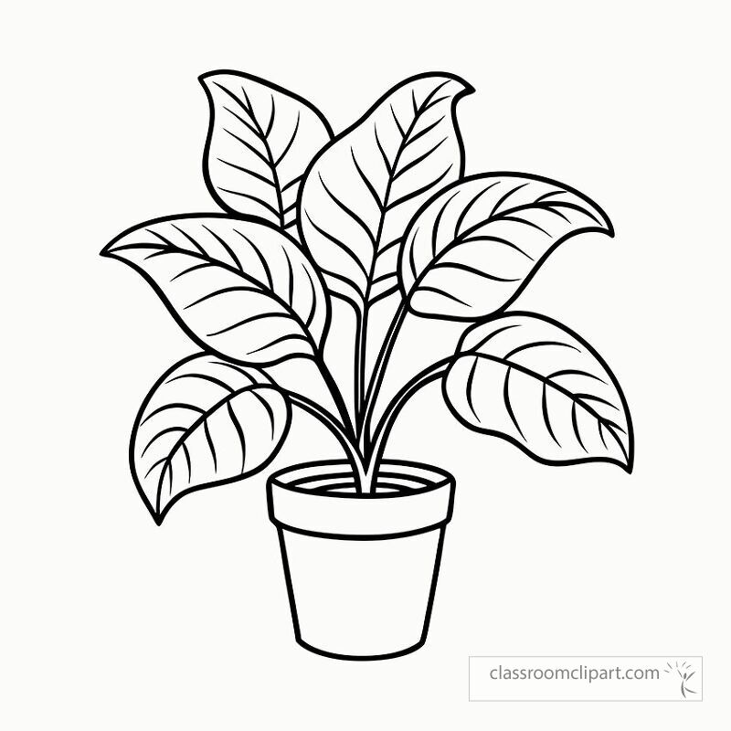 This black outline illustration features a calathea plant in a simple pot perfect for printing and coloring. Ideal for art projects or relaxation activities at any time.