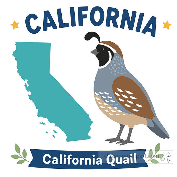 California state bird image with a teal state map a California quail stars leaves and a blue name banner