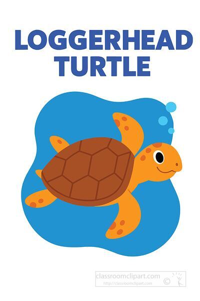 Cute cartoon loggerhead turtle swimming underwater great for ocean life and educational projects
