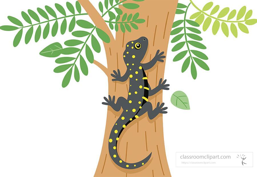salamander, amphibian, cartoon animal, tree branch, jungle reptile, flat vector, biology clipart, nature animal, science illustration
