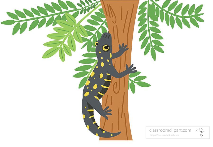 A colorful cartoon-style illustration of a salamander resting on a tree branch, great for educational biology or amphibian topics.