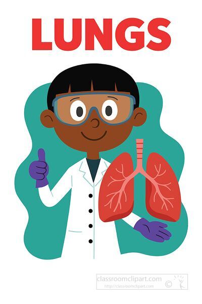 Fun educational clipart of a scientist showing human lungs for biology and anatomy lessons