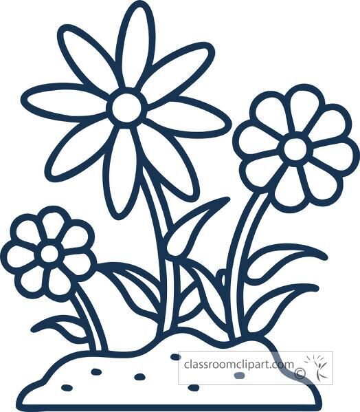 simple line illustration of chamomile plants