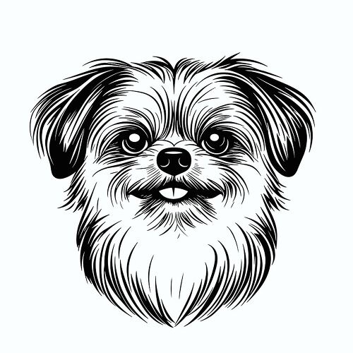 Pomeranian dog face illustration with a friendly expression