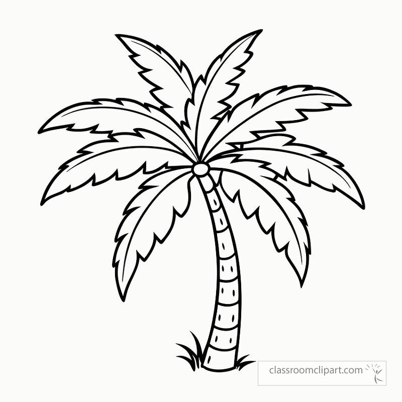 This black outline of a coconut palm is perfect for coloring or crafting. It features a tall trunk and detailed leaves great for creative projects or educational purposes.