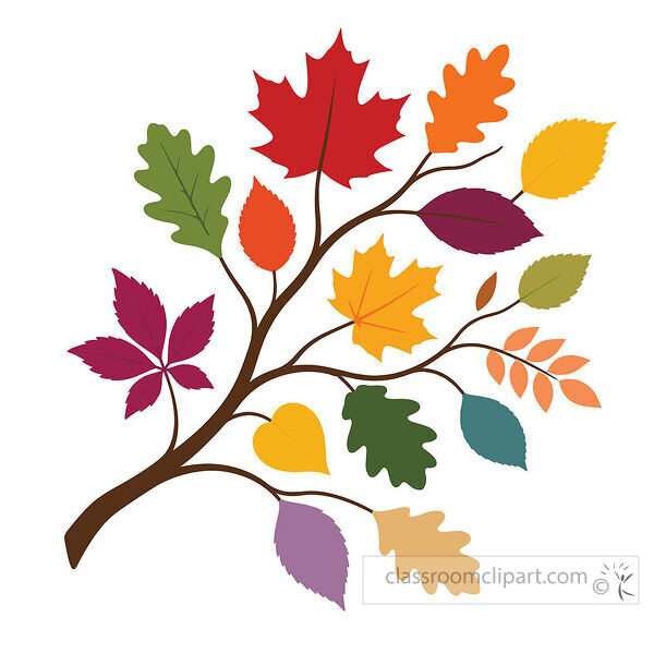 Brown branching stem displays colorful maple oak and oval leaves in red orange yellow green purple and teal shades