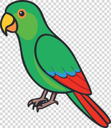 Bright green parrot with red and blue feathers on a branch