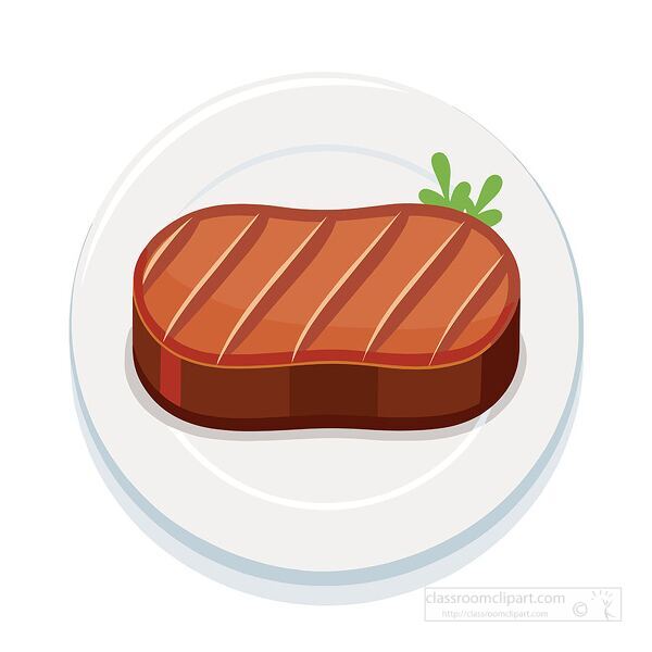 vector illustration of a juicy brown beef steak served on a white plate with green garnish