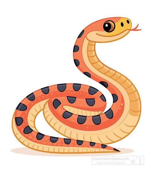 Bright illustration of a coral snake with orange and black body patterns. Great for science projects, reptile lessons, and educational materials