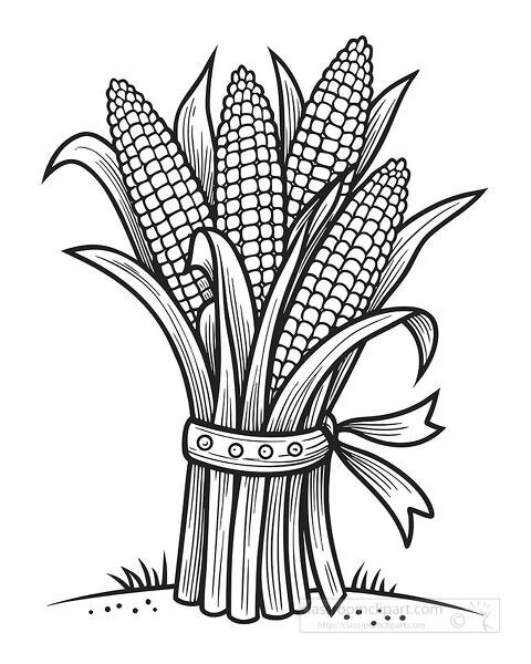 Autumn harvest corn stalks coloring page perfect for Thanksgiving crafts and fall classroom activities