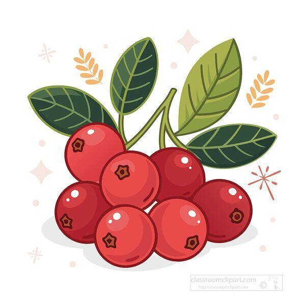 Red cranberry bunch with green leaves clipart illustration perfect for fall harvest designs food projects
