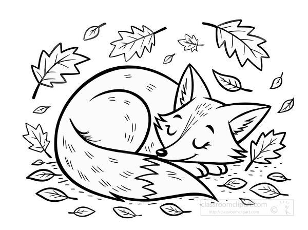 Woodland fox curled in a circle surrounded by falling leaves coloring page perfect for autumn printable activities