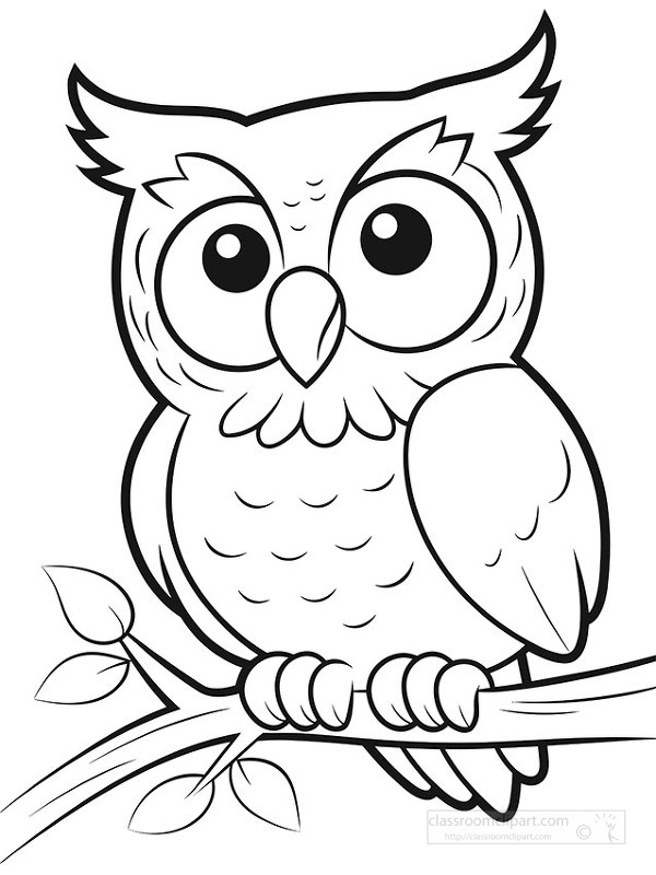 Adorable owl perched on branch in simple black and white outline